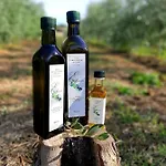 Διαμέρισμα Casa Del Nonno Bingheri - L'olivo *